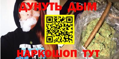 стаф Можга