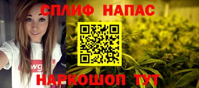 стаф Можга