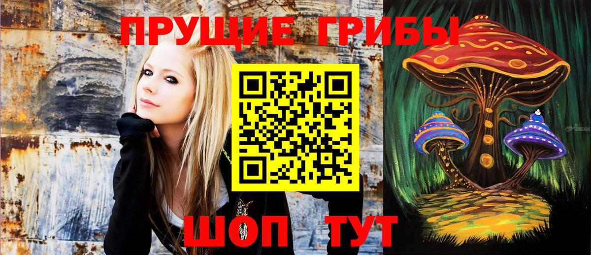 Псилоцибиновые грибы Cubensis  Вход с VPN  Шахты 