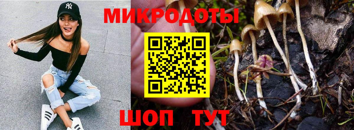 Галлюциногенные грибы MAGIC MUSHROOMS Шахты